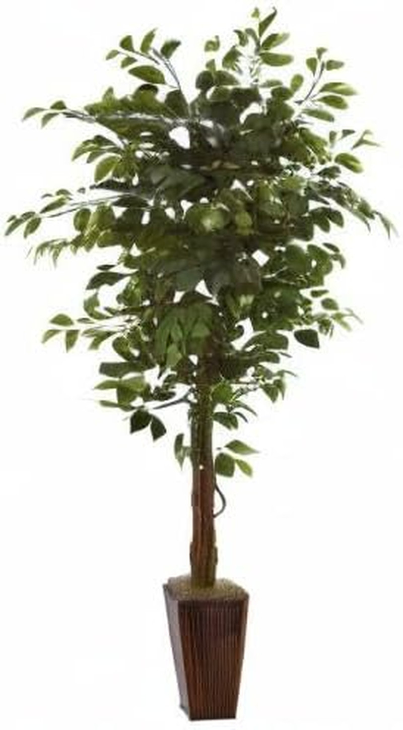 6Ft Ficus Tree in Bamboo Planter – Lush Green Home Decor Accent