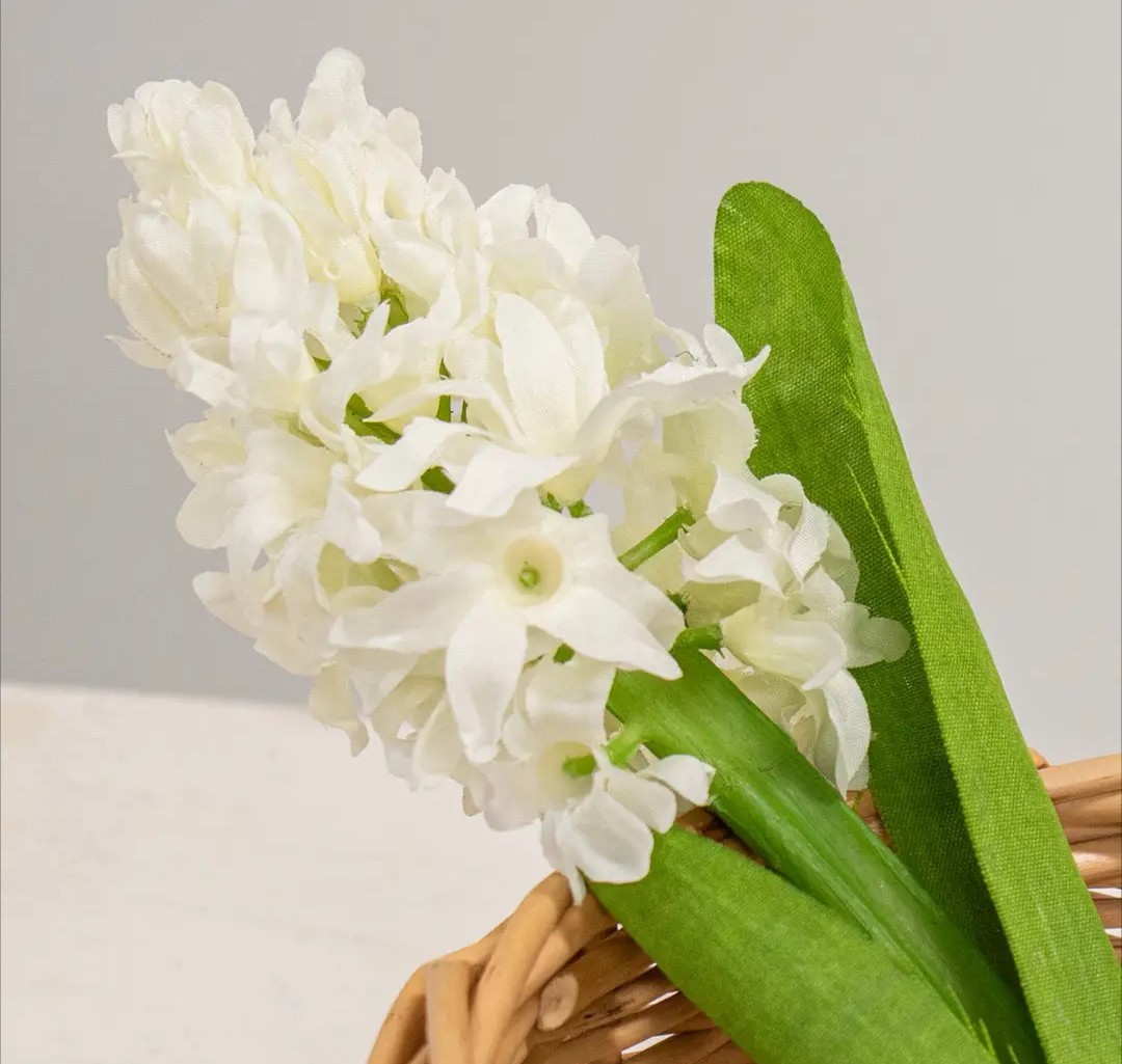 11″ White Hyacinth Stem