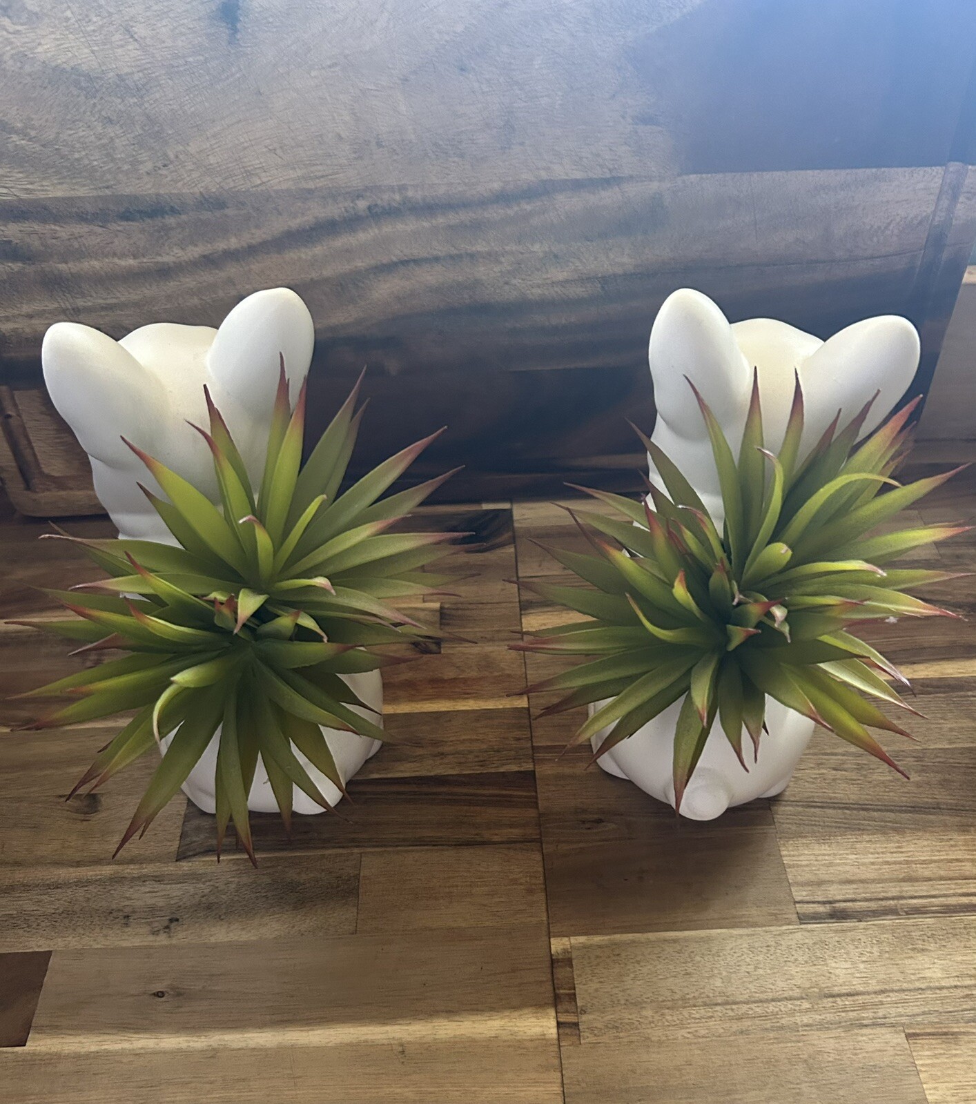 Lowe’s 21 7.5-in Green and White Indoor succulent Artificial Plant