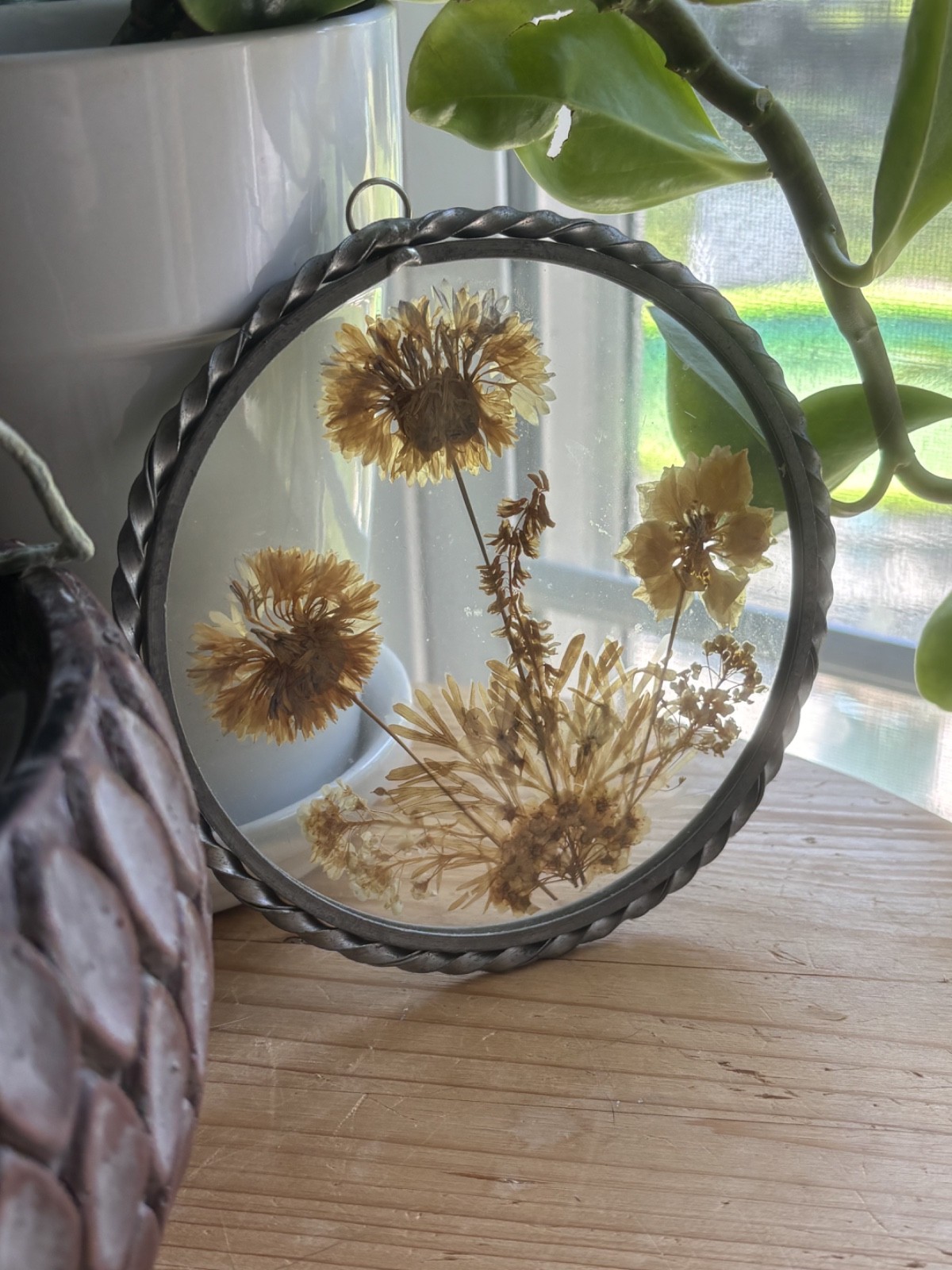 Vintage Set of 3 Real Dried Pressed Flowers In Glass Pewter Frames