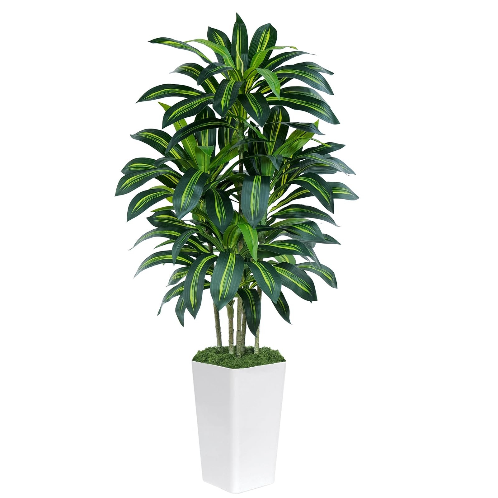 Keeplush 5FT Artificial Dracaena Tree – High-Density Foliage Fake Plant White