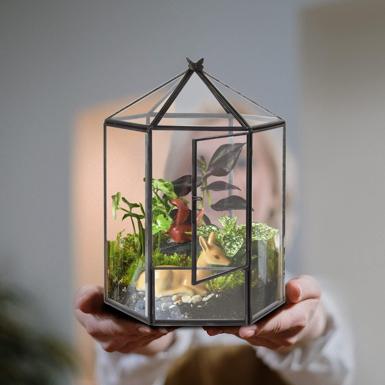Hexagonal Black Plant Terrarium Kit