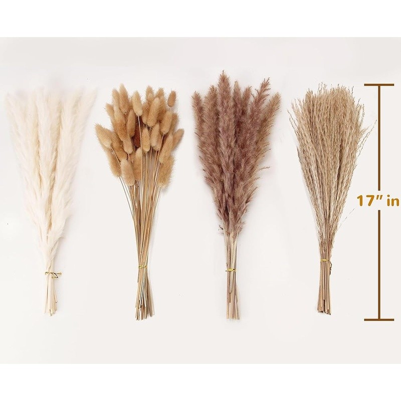 Natural Dried Pampas Grass Bouquet 100 Pieces Decor Home Wedding Events New