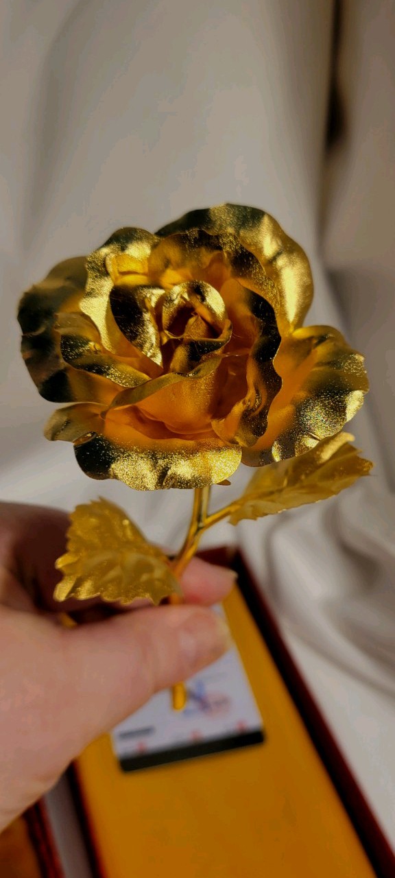 Junyi Gold Dipped Rose With Card Certifying Authenticity