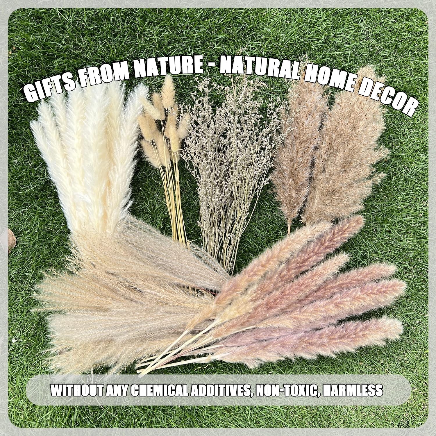 Pampas Grass Dried Flowers Natural Boho Decor Wedding Farmhouse Office