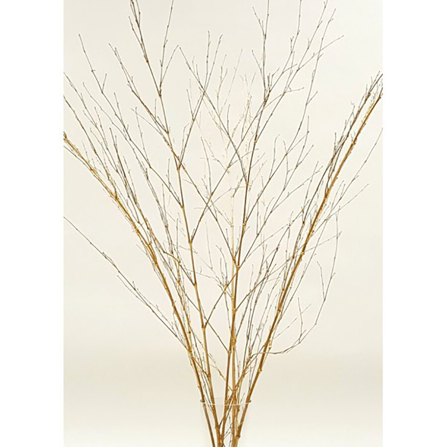 Bamboo Spray Pack of 6 Branches 3-4 ft Gold