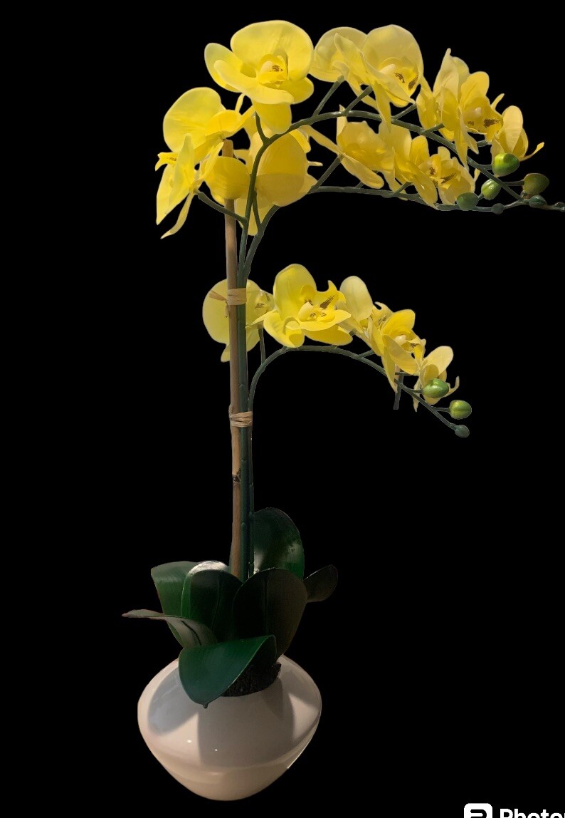 Faux Orchid Yellow In White Ceramic Vase 27.5” Tall X 15” Wide Decorative