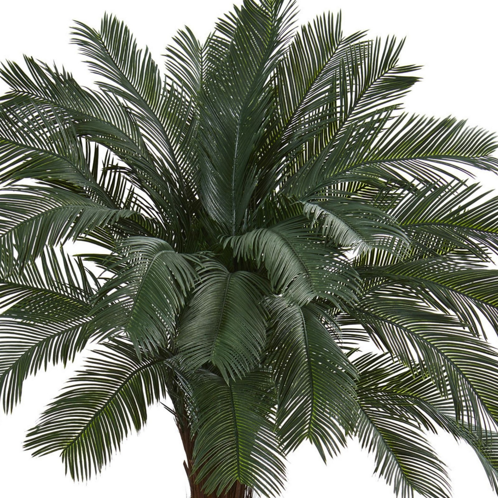 Nearly Natural Indoor/Outdoor 72″ Cycas Artificial Tree UV Resistant Green/Black