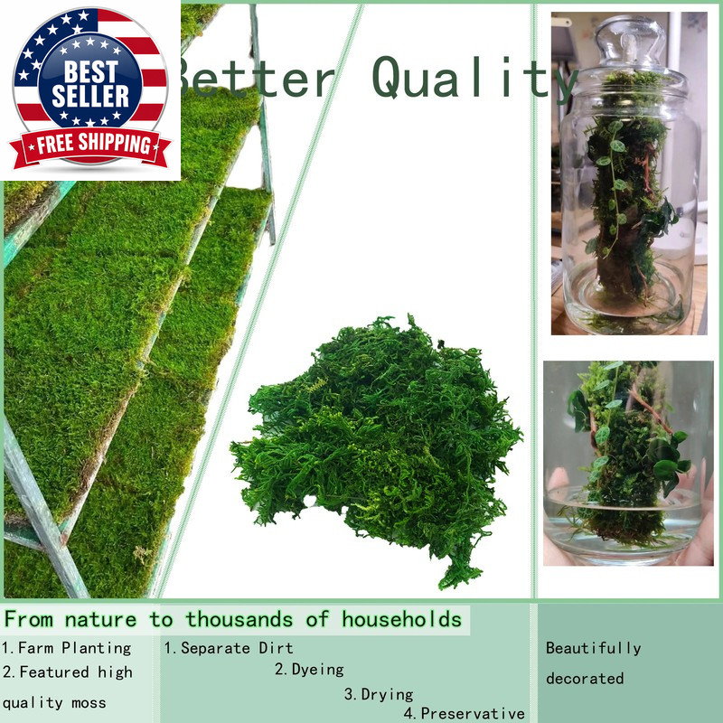Artificial Moss Green for Potted Plant Orchid Potting Mix Peat Moss Pole Craft