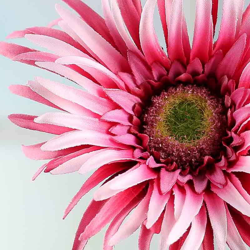 Package of 6 Pink Artificial Gerbera Spider Daisy 25″ Stems