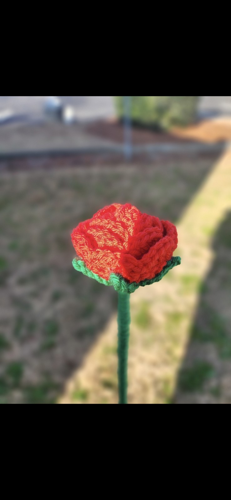 Crochet Rosie