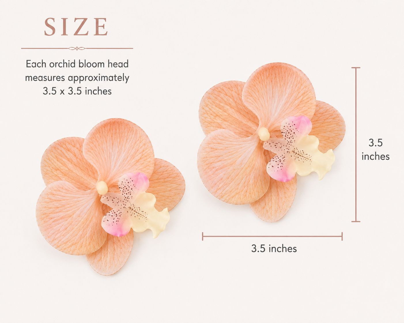 Peach Champagne Real Touch Orchid Heads Set of 2, 3.5 Inch Phalaenopsis Blooms f