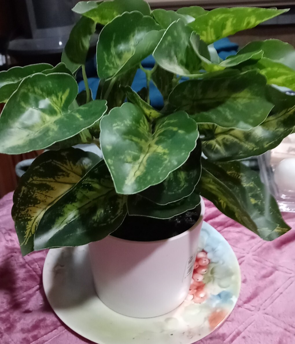 Project 62 Retired Faux Fake Ivy In A White Ceramic Planter New 9″ Tall New