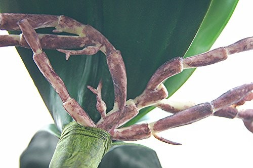 4 PCS 10 Inch Big Artificial Green Phalaenopsis Moth Orchid Leaf Latex Plant
