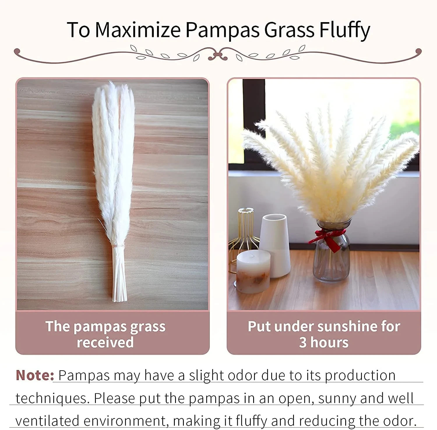 15 stems Pink Pampas Grass 20″-21″