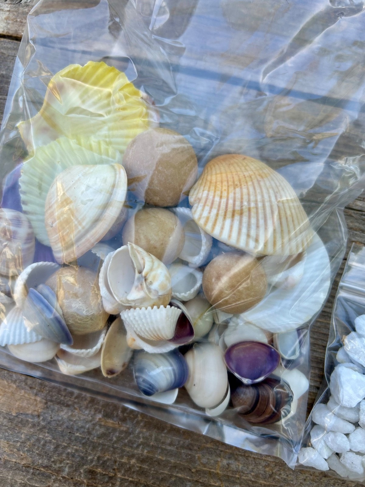 Ocean Vase Filler Beach Decor – Collection of Sand, Sea Glass, Sea Shells, etc.