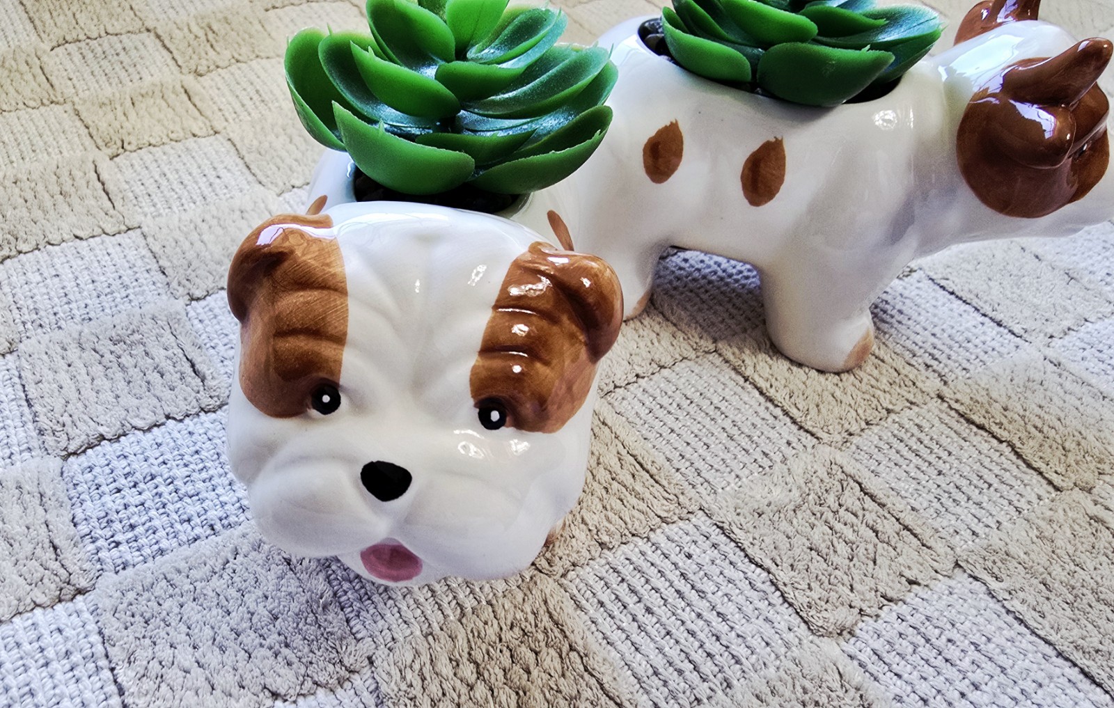 Old East Main Co. High Quality Animal Shape Planters With Lifelike Succulent