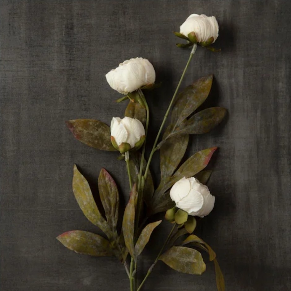 Brand New Viral Michael’s Ashland 28″ Cream Peony Stem – Set of 6