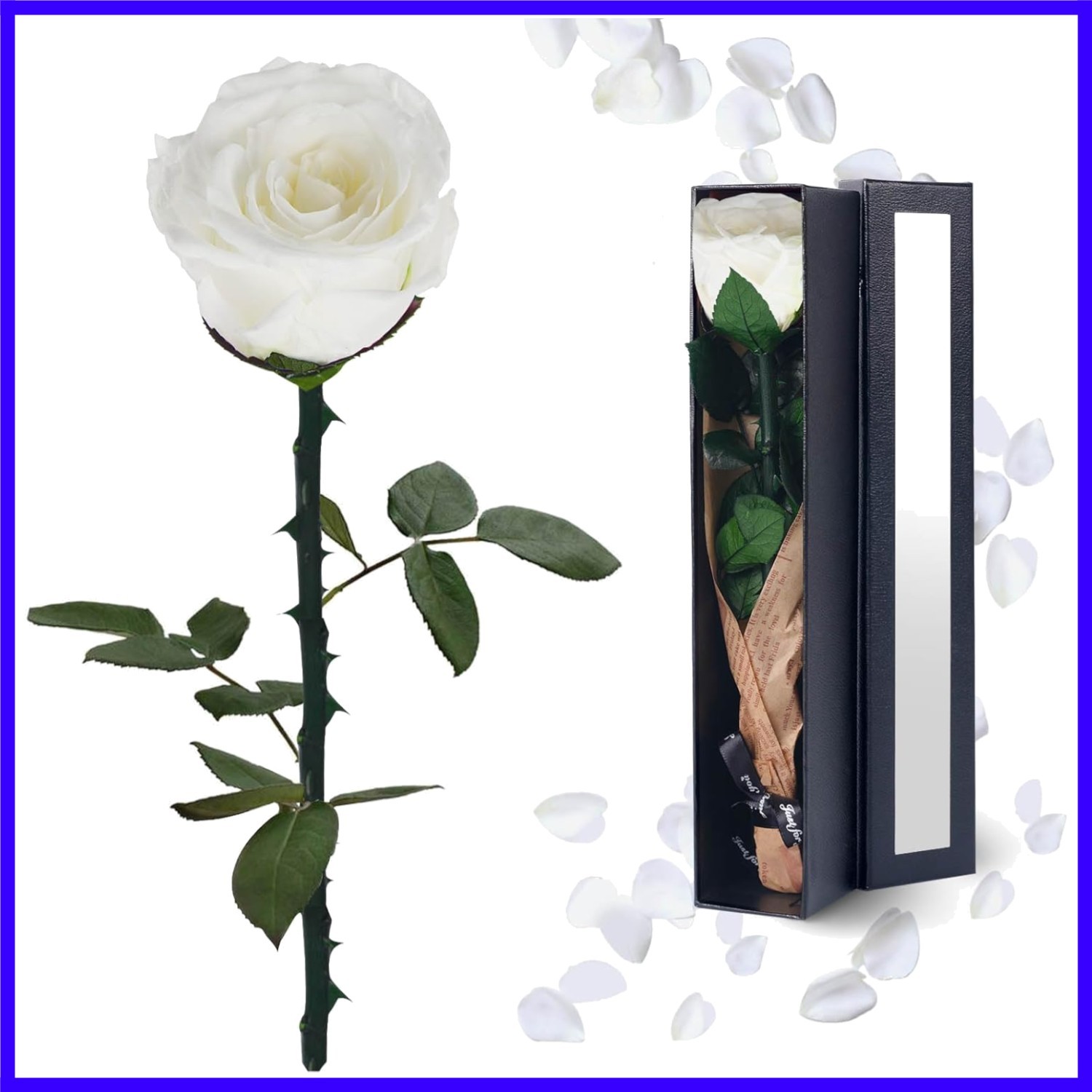 Preserved Flowers Gifts for Women: Mothers Day Birthday Christmas Anniversary…