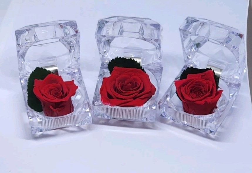 preserved Real red rose W Leaf In clear diamond shaped acrylic Ring box