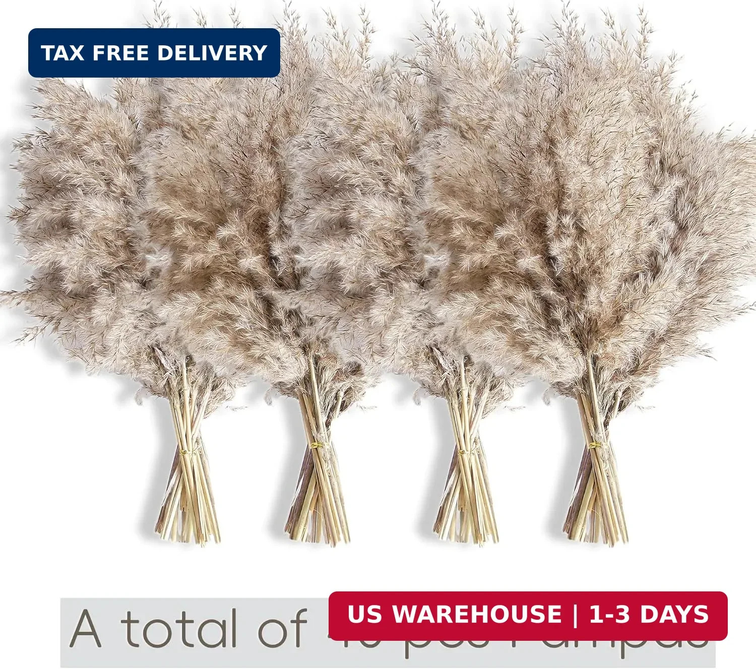 40 PCS Nature Pampas Grass Bouquet Decor – Boho Flowers and Feathers for Centerp