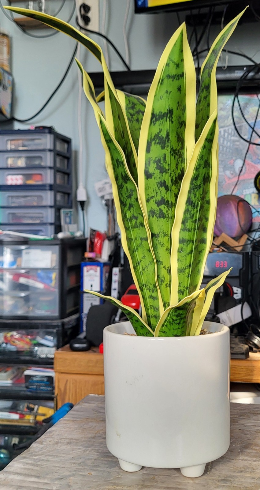 Artificial Snake Plant Potted, Sansevieria (Real Looking) 20″ Tall Porcelain Pot