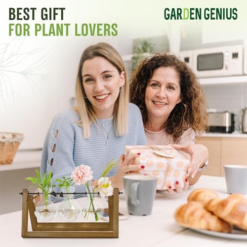 Glass Propagation Station with Wooden Stand – 3 Bulb Vase Plant 3 Bulbs