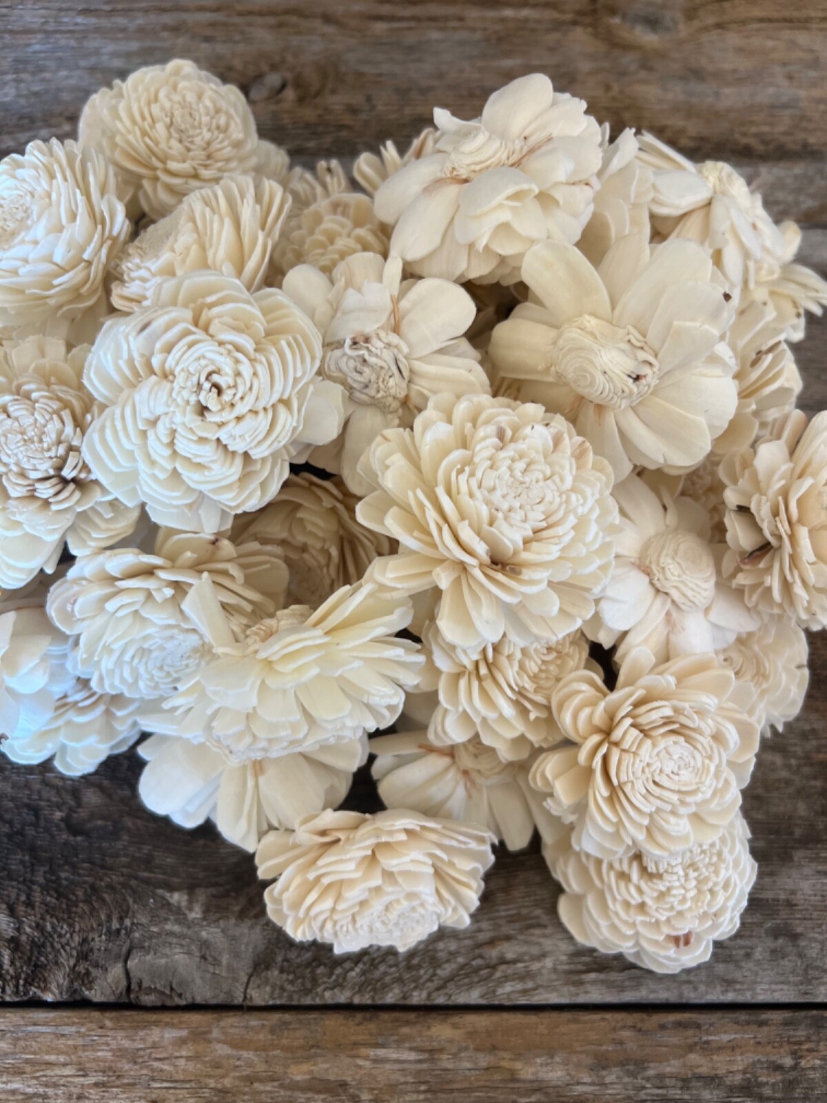 Ivory Belly Sola Wood Flowers – Set of 100 – Craft Flowers