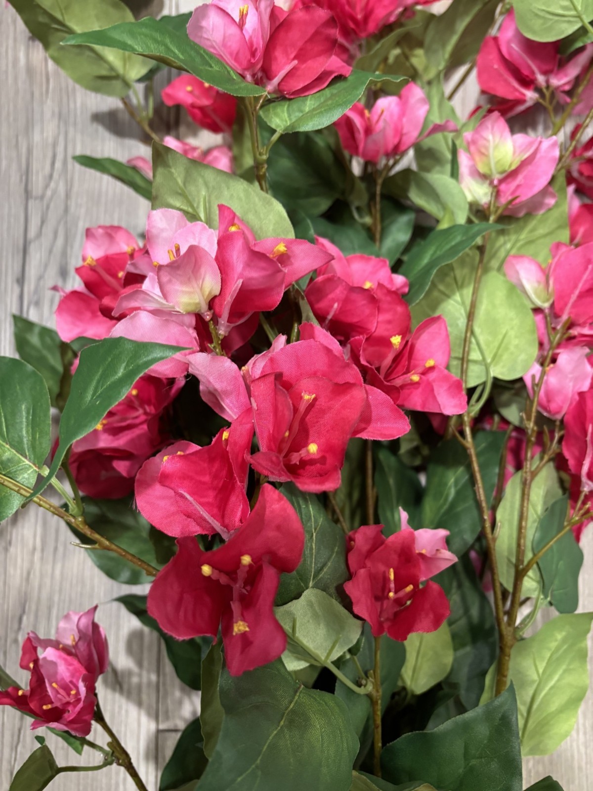 NEW POTTERY BARN Faux Pink Bougainvillea Flowers 48″ Tall Branch Stems Decor NWT