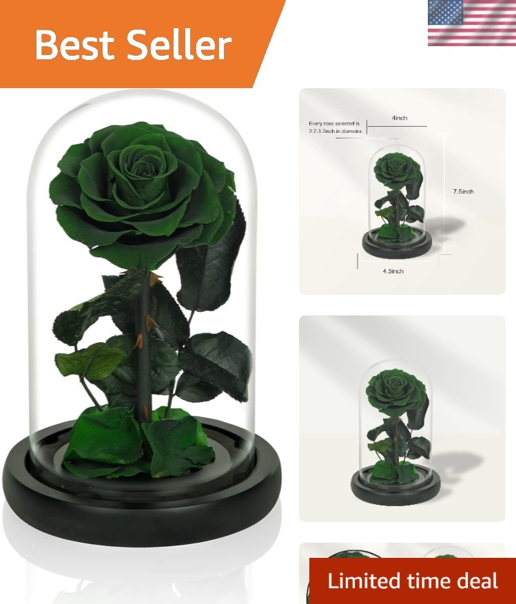 Elegant Handmade Preserved Roses in Glass Dome – Lasting Green Floral Gift
