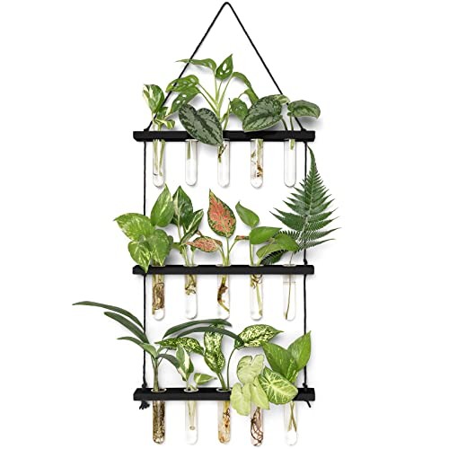 3 Tiered Wall Hanging Plant Terrarium with Wooden Stand Mini Test Medium Black