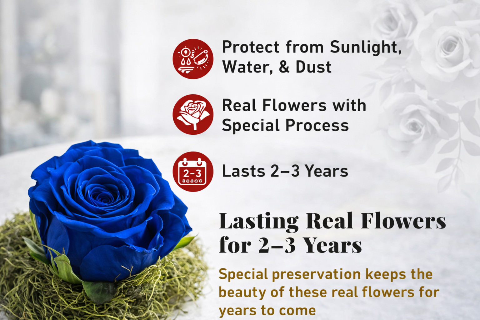 Real Preserved Blue Roses, Last 2–3 Years, Romantic Gift Box, Valentine’s Day