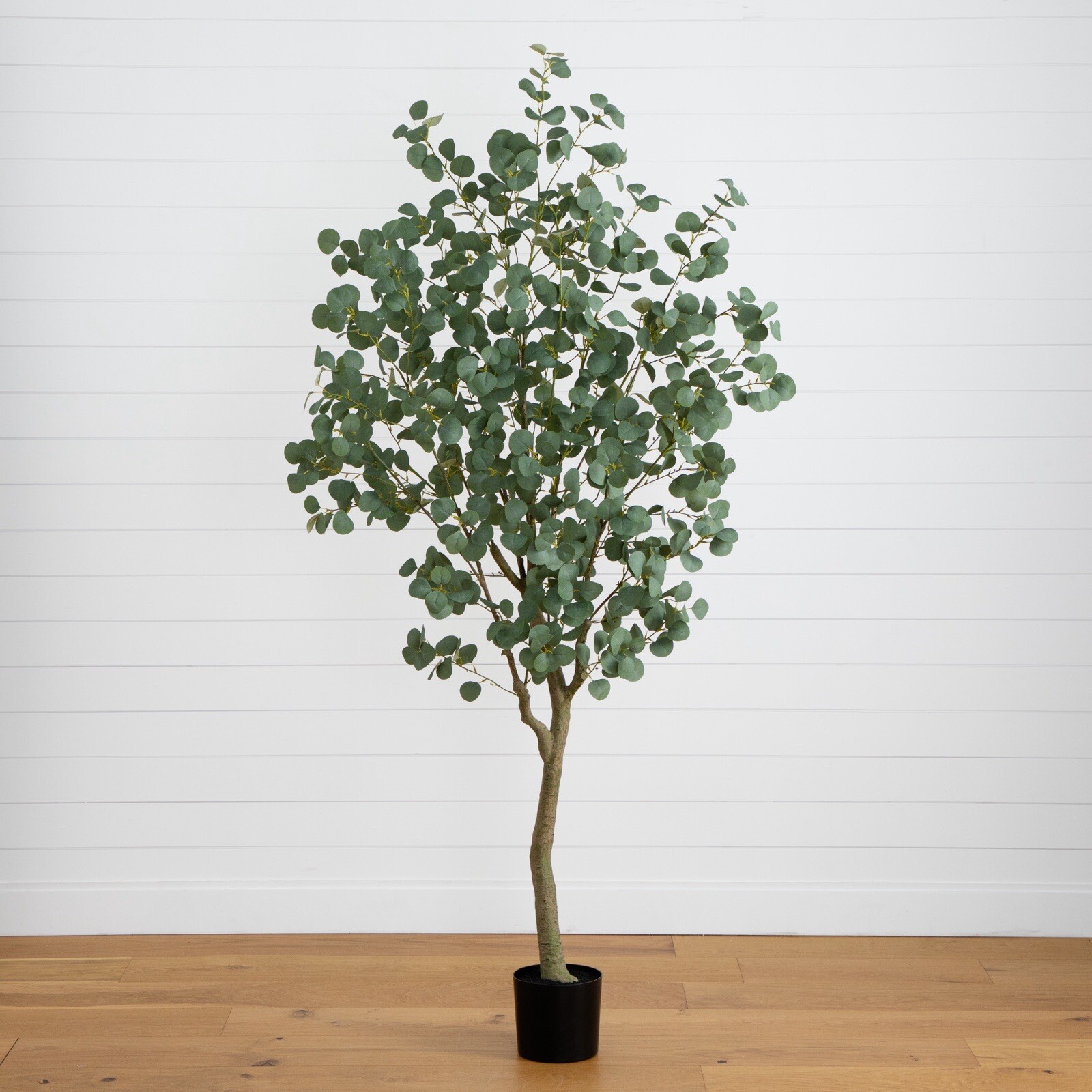 7’ Greco Artificial Eucalyptus Tree Home Decor. Retail $329