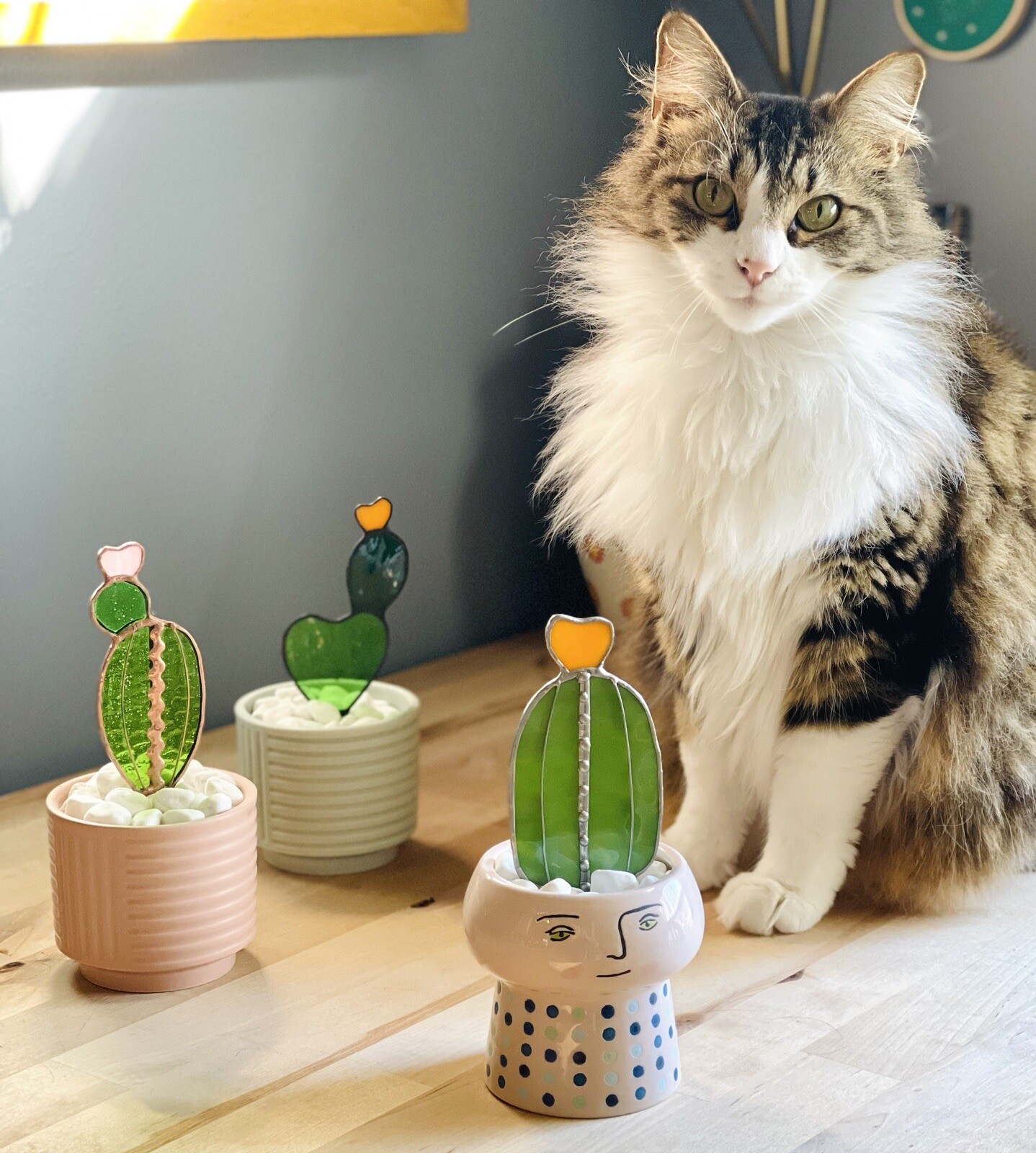 Glass Baby Moon Cactus