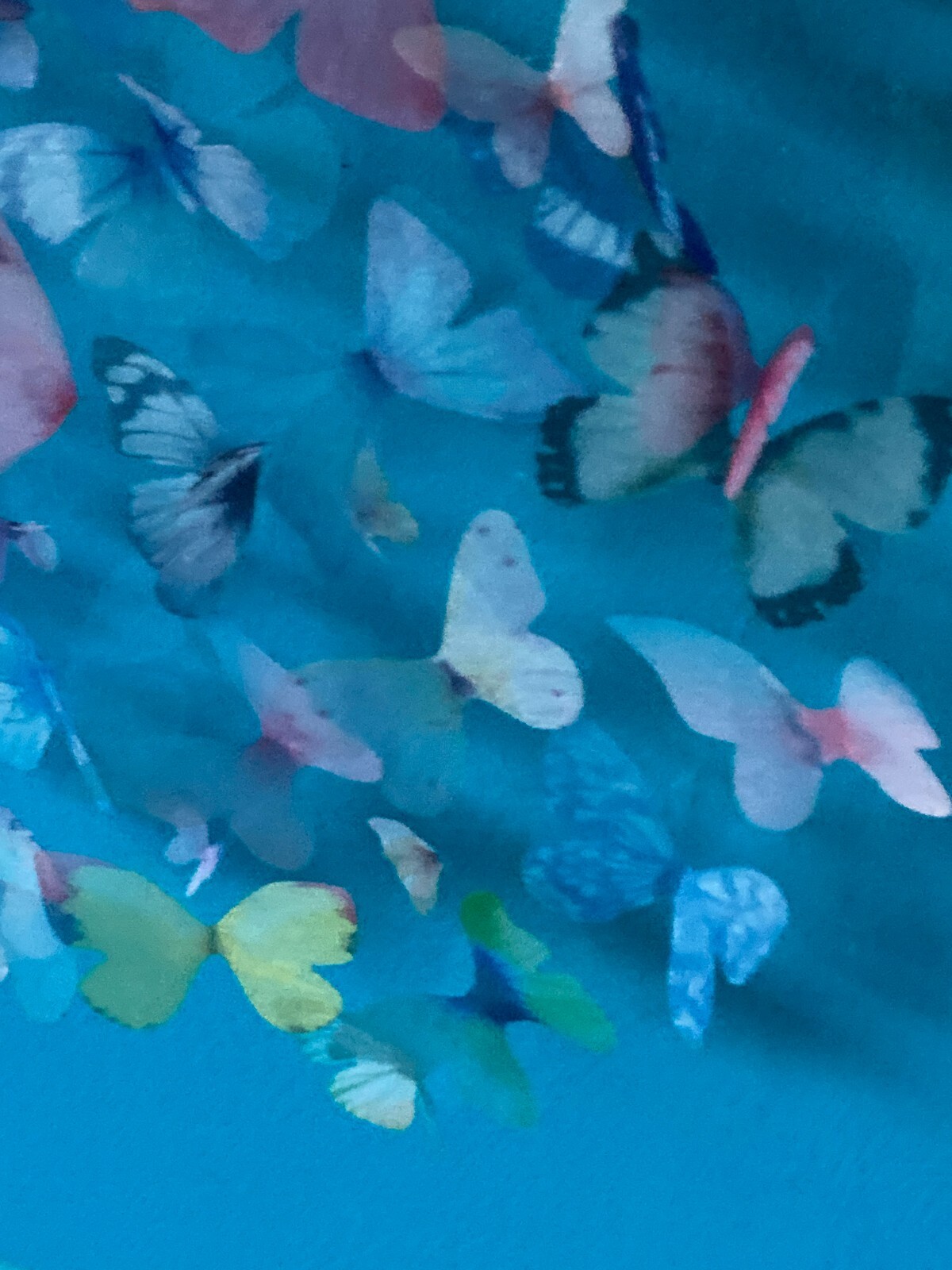 Butterfly Swirls & Blue Sky – Original Artwork / Real ZOOM Background 4′ x 8.2′