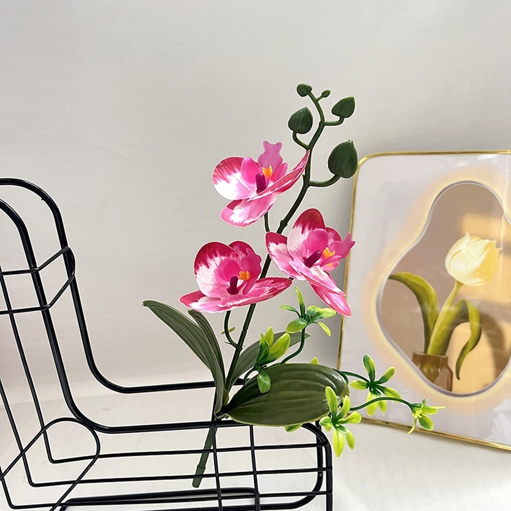 Plastic Artificial Phalaenopsis Orchid Bouquet 25cm Realistic for Home Use