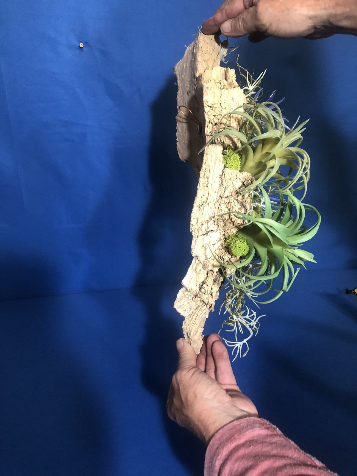 Home Decor Bathroom Wall Art Real Bark Artificial Air Plant Handmade USA