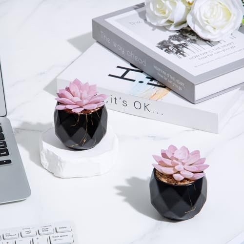 Artificial Succulent Plants in 2 Ceramic Pots, Cute Fake Plants for Black