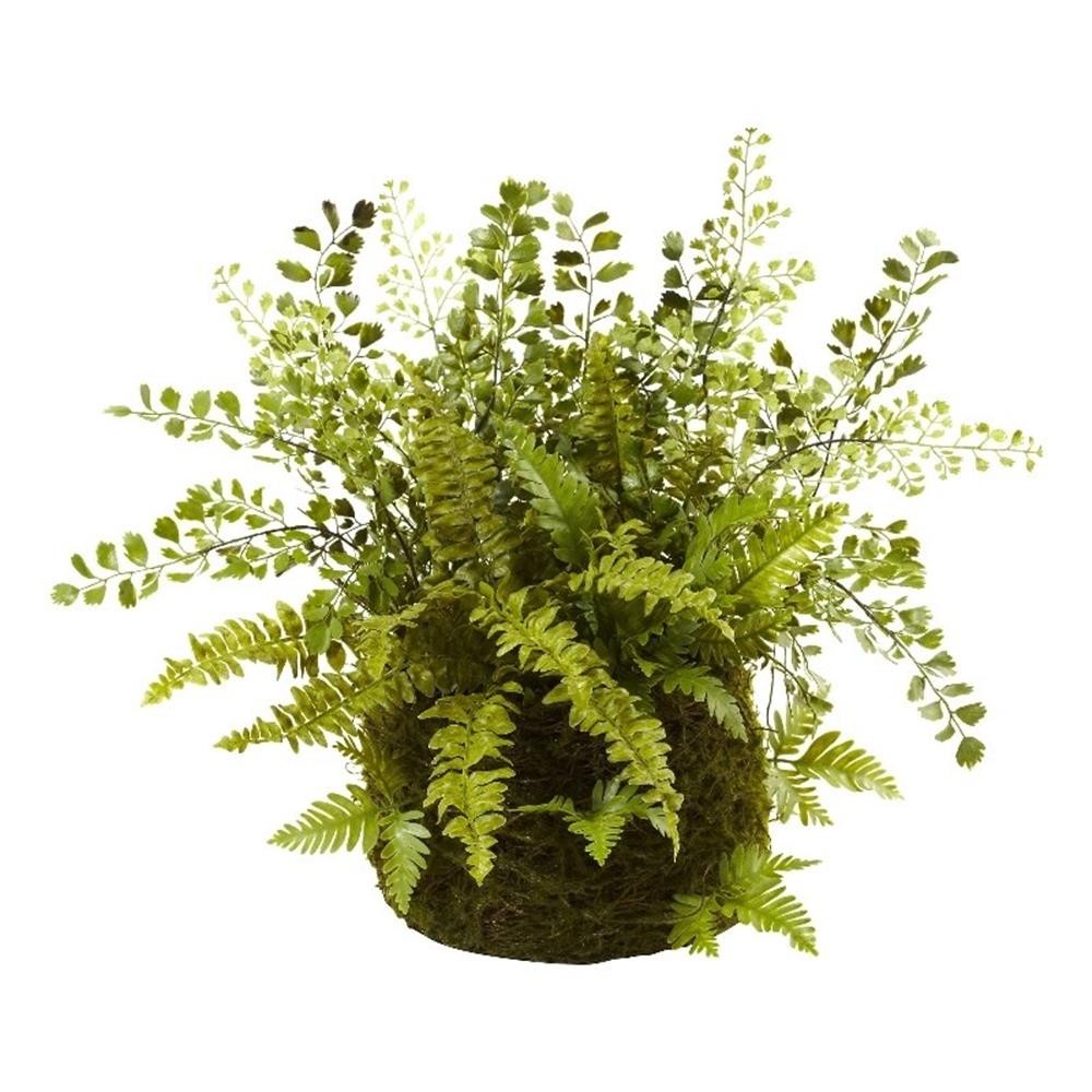 Nearly Natural Mixed Fern with Twig and Moss Basket in Green/Brown