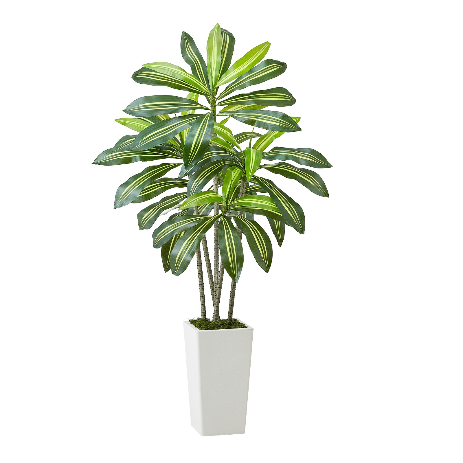 Uimoso 5ft Artificial Dracaena Tree in Pot Indoor Home Decor Faux Fake Plant