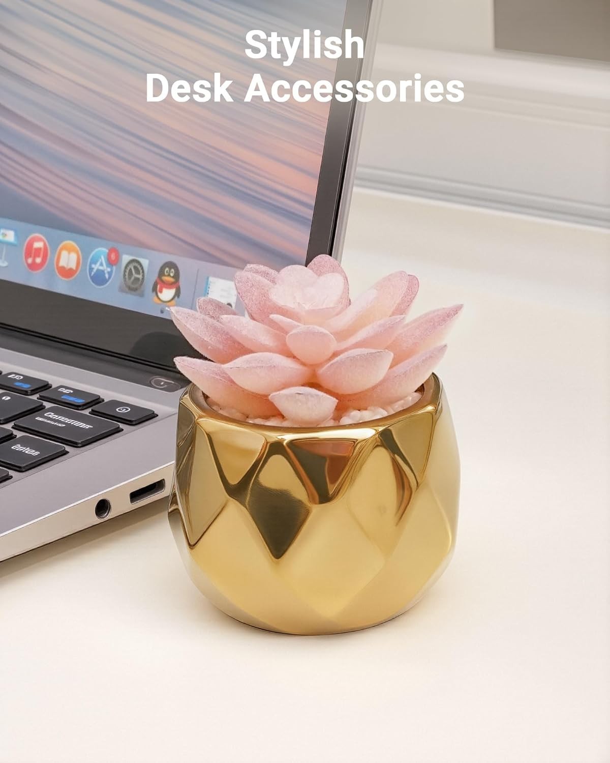 Elegant Mini Succulent Plants in Pink & Gold Ceramic – Perfect for Indoor Decor