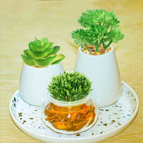 Green Succulent Plants, 6pcs Mini Fake Succulents Plants for DIY Crafting Home
