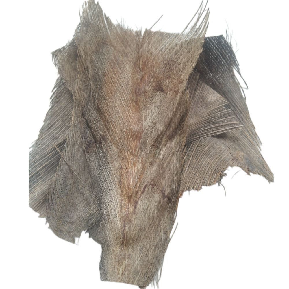 Coconut Tree Spathe for DIY Home Decorations 100% natural organic Free Shipping