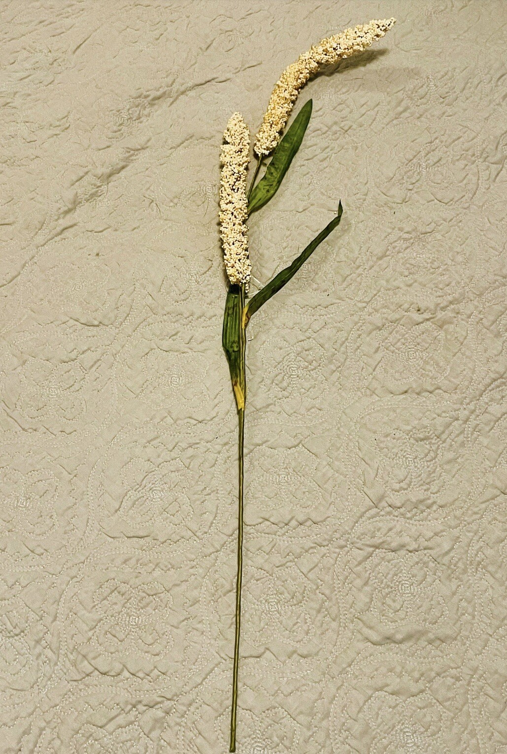 Cream Millet Stem, 30” Bundle Of 3