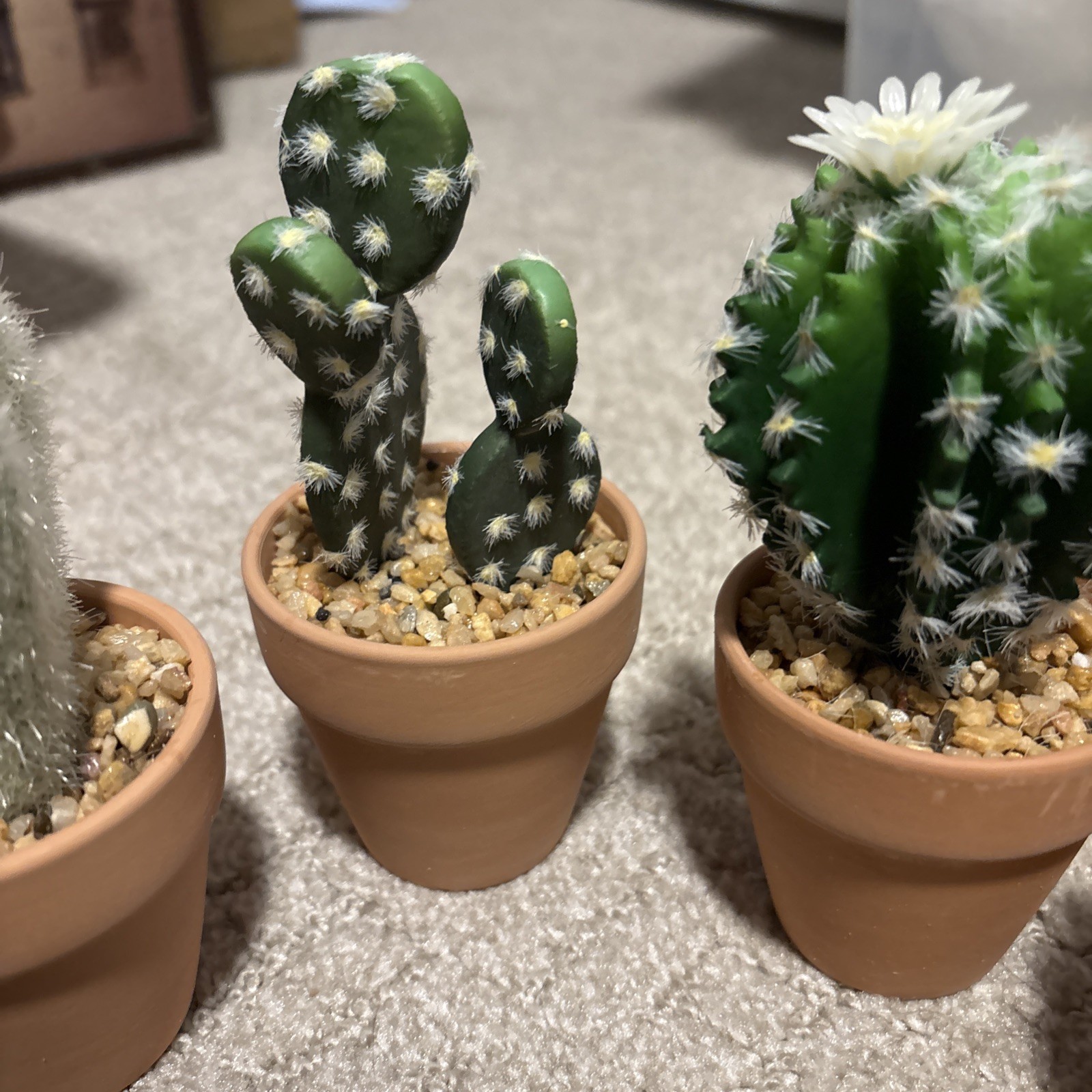 Mini Artificial Cactus Plants in Terracotta Pots 4 Pcs Potted Faux Succulents