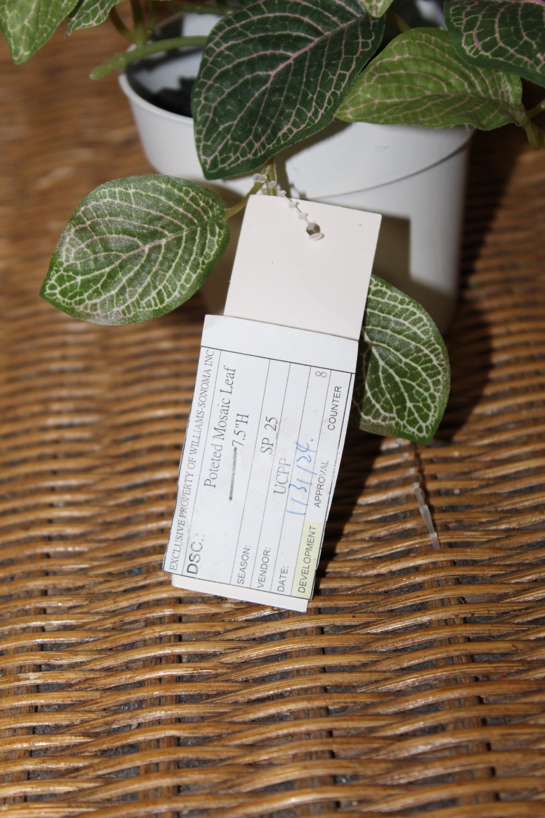 Williams Sonoma Artificial Potted Mosaic Leaf Plant