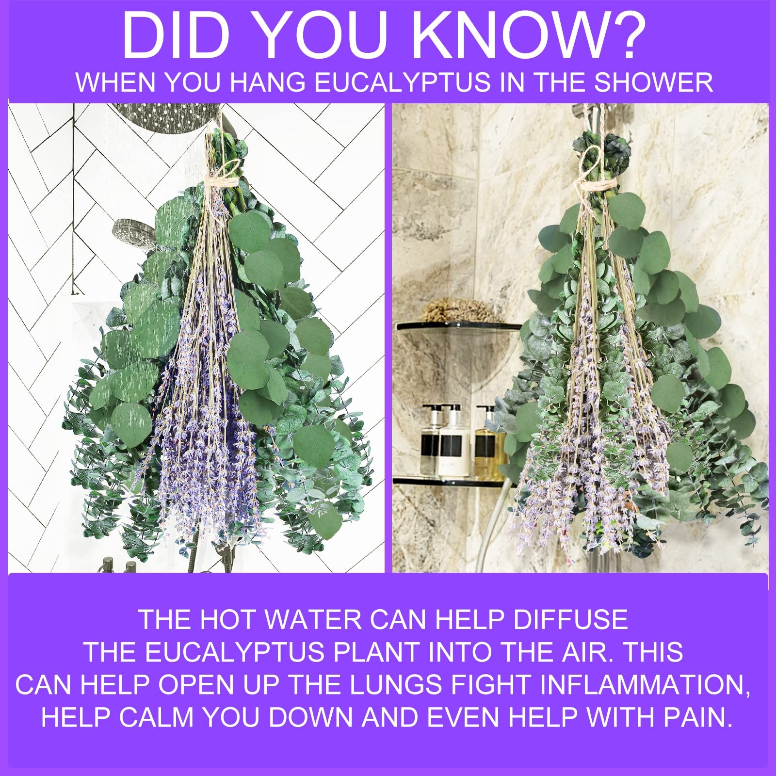 115 PCS Large Dried Preserved Eucalyptus Stems & Lavender Flowers Bundle for …