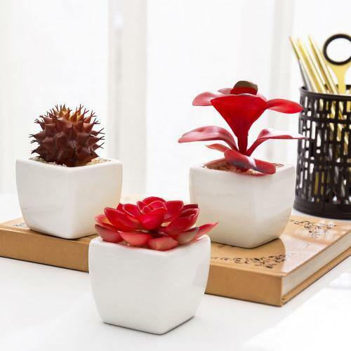 Assorted Artificial Red Succulent Plants, Fake Plants in Square Pots, Set of 3