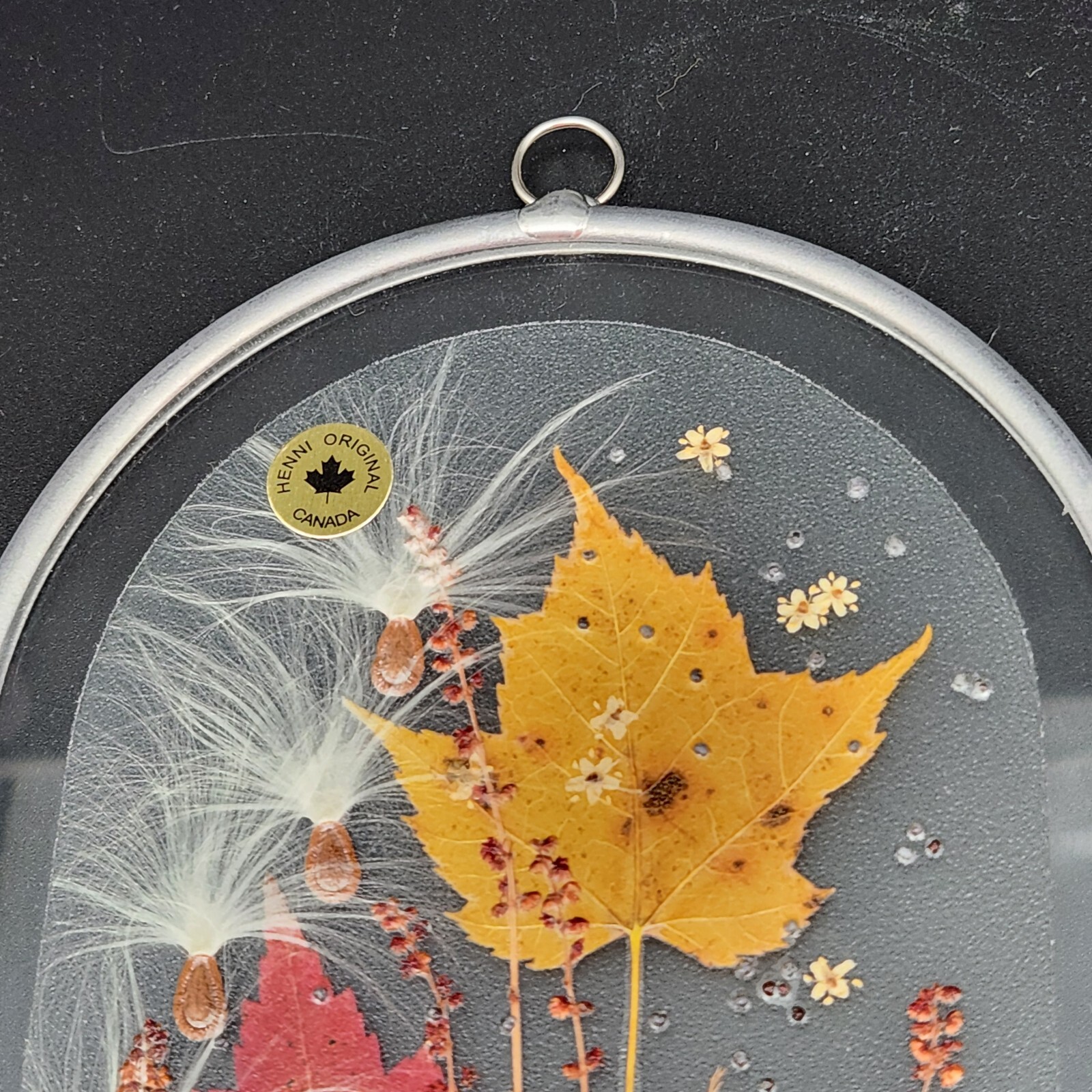 Canada Henni Original Pressed Leaves Seeds Glass Window Hanging Original Label