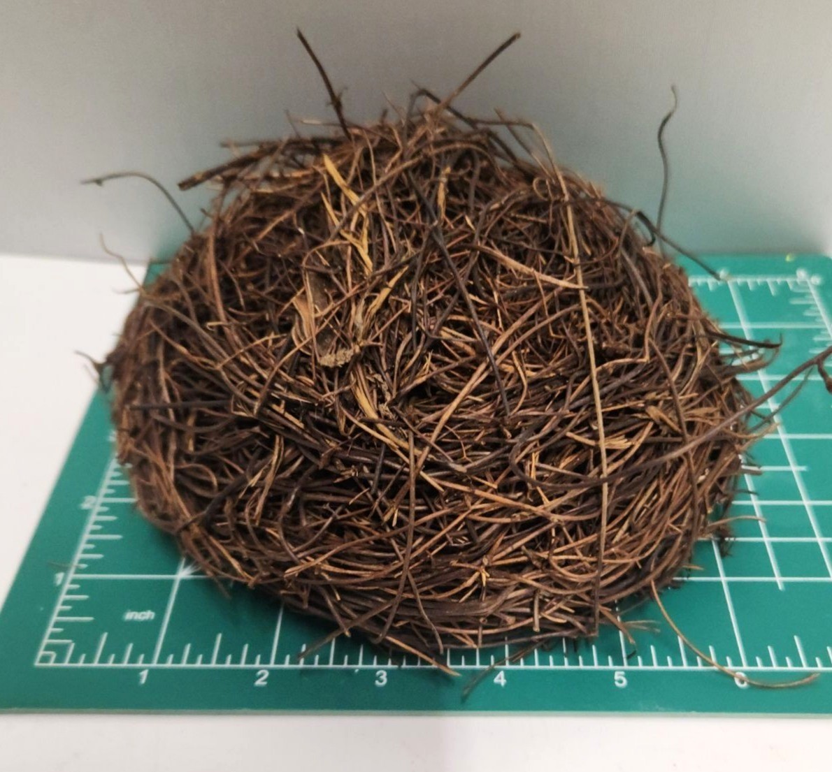 Rustic Twig Bird Nest 6 Inch Natural Handcrafted Nest Farmhouse Spring Decor